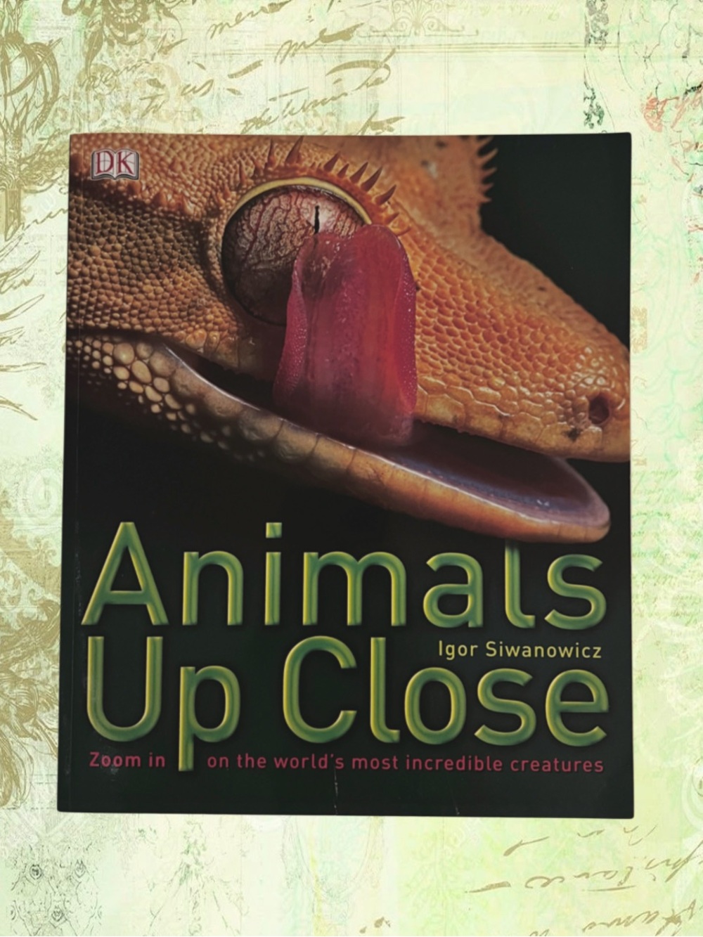Animals Up Close: Zoom in On the World's Most Incredible Creatures